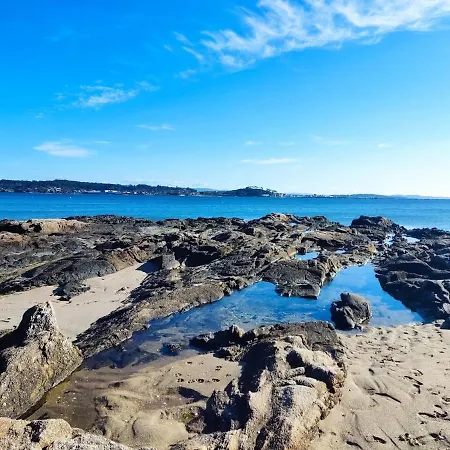 La Dorada *