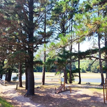 La Dorada *
